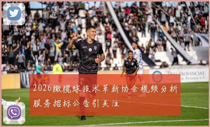 2026橄榄球技术革新协会视频分析服务招标公告引关注